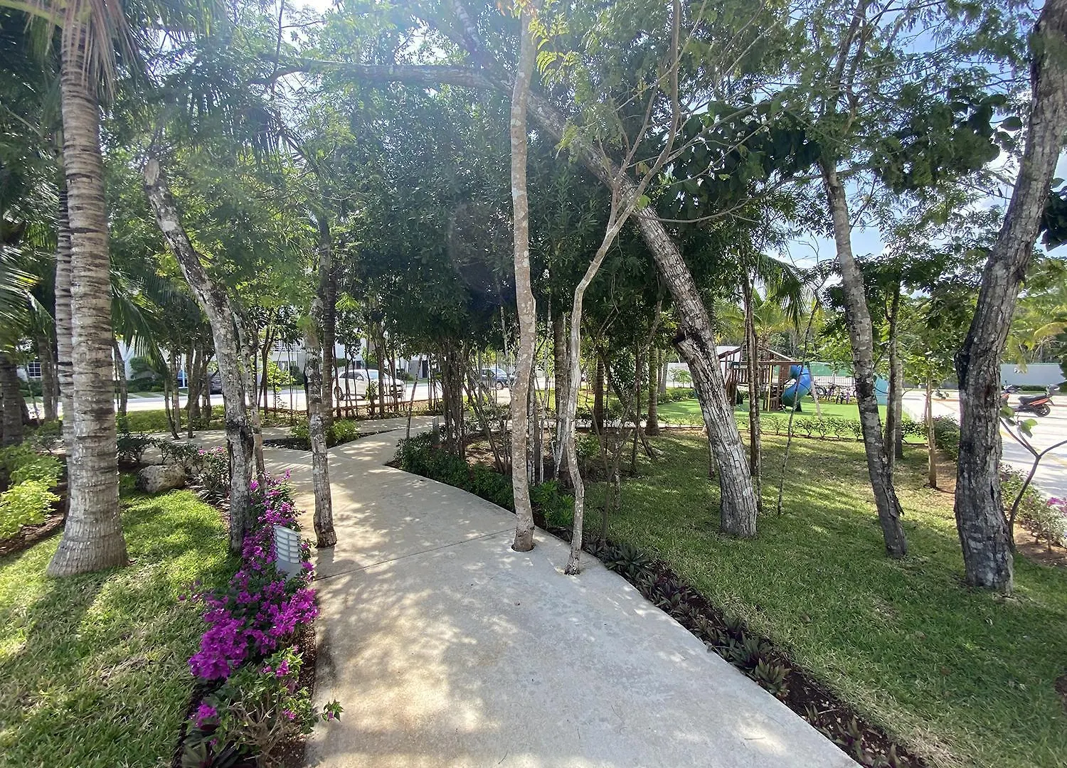 Espacio Amazonia - Gym, Alberca Grande, Padel Playa del Carmen